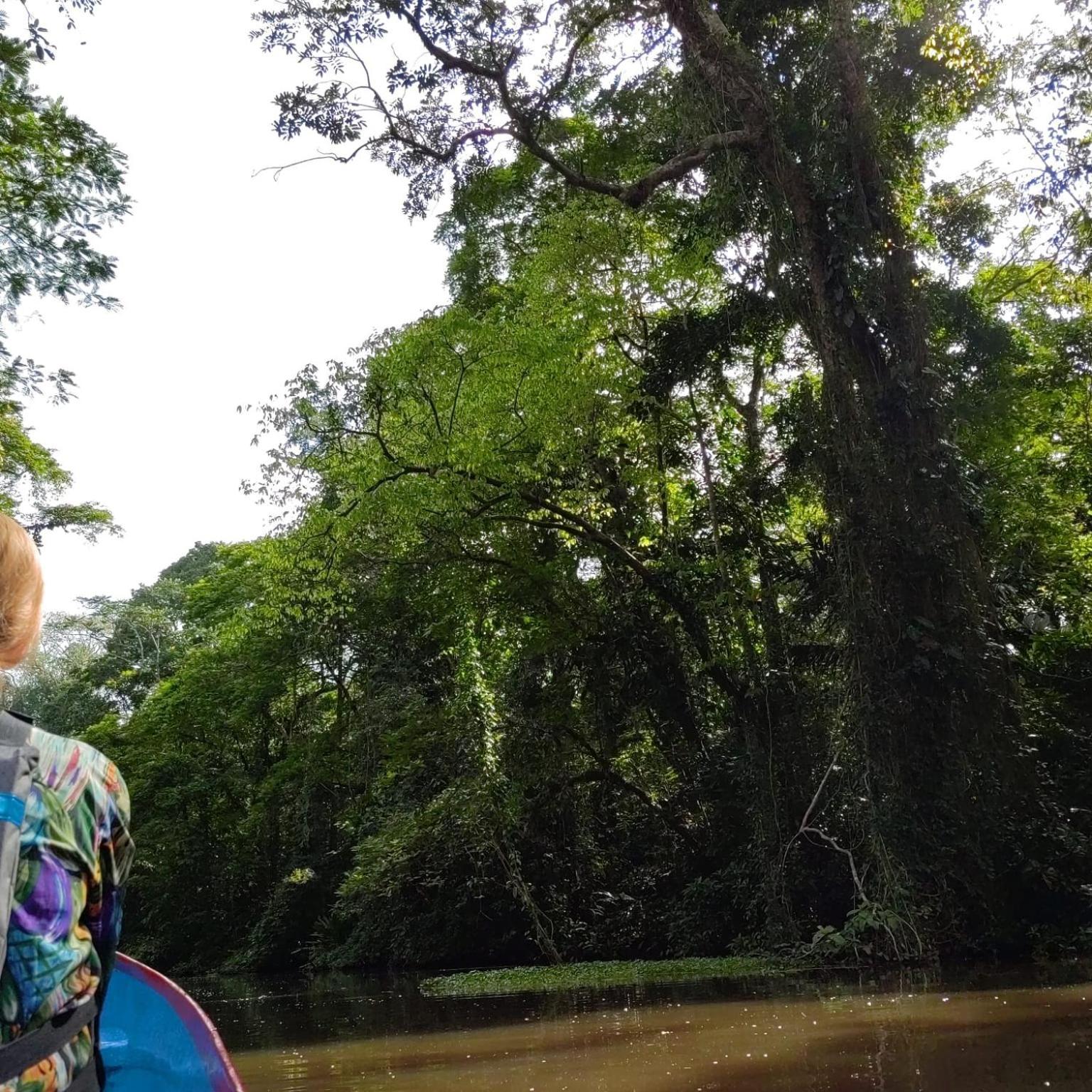 Tortuguero Villas 외부 사진