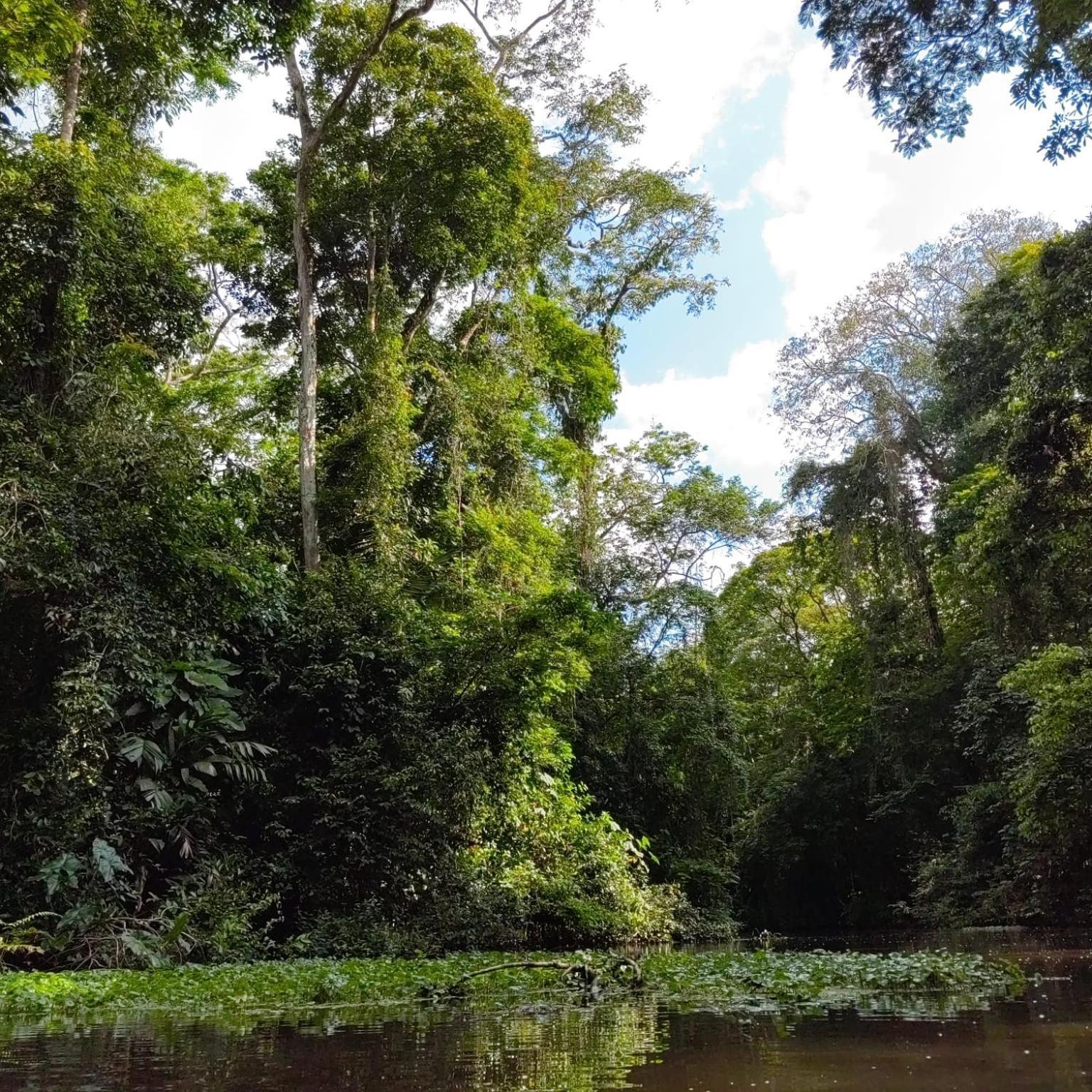 Tortuguero Villas 외부 사진