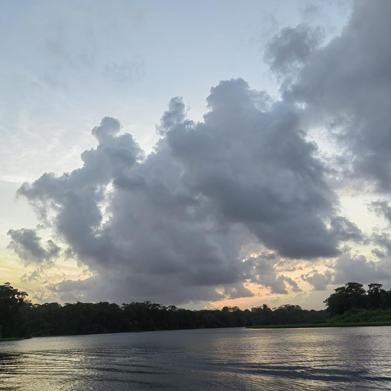 Tortuguero Villas 외부 사진