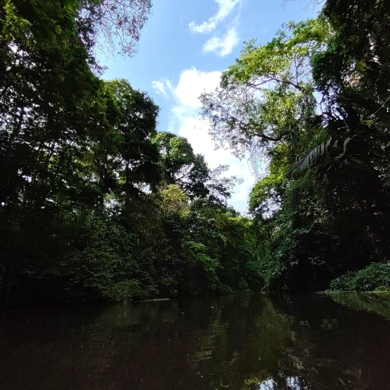 Tortuguero Villas 외부 사진
